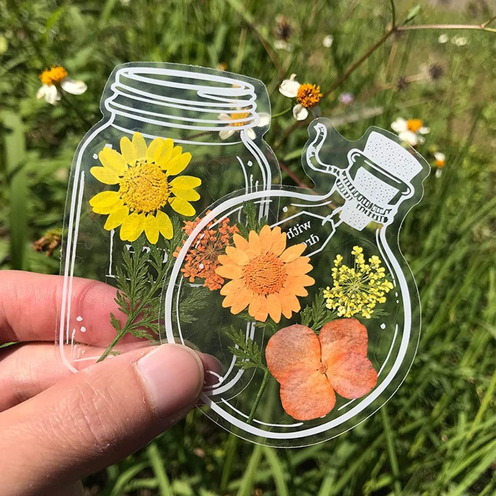 30Pcs Handmade DIY Transparent - Dried Flower Bookmark のレビューと価格
