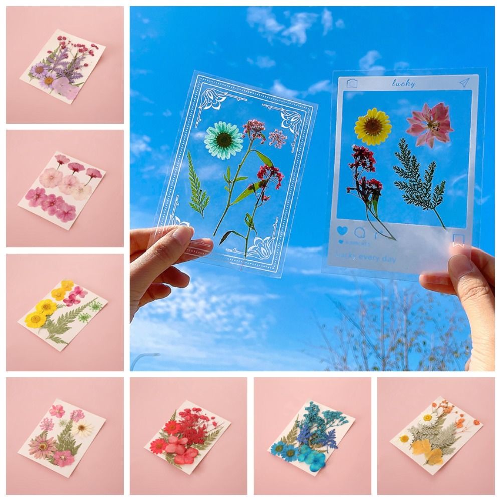 DIY Materials DIY Dried Flower - Dried Flower Bookmark のレビューと価格