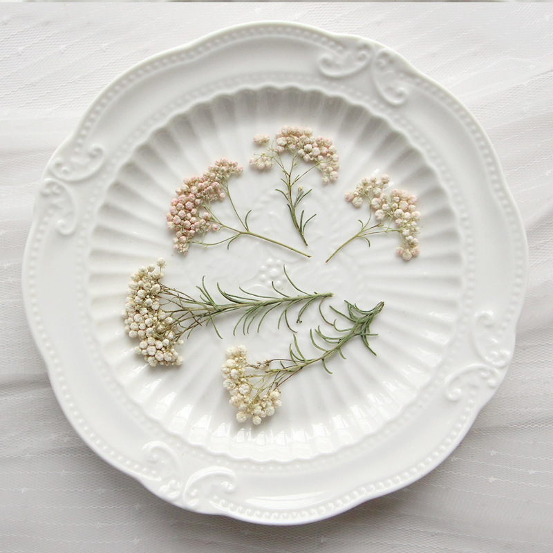 12pcs,Nature Millet flower bra - Dried Flower Bookmark のレビューと価格