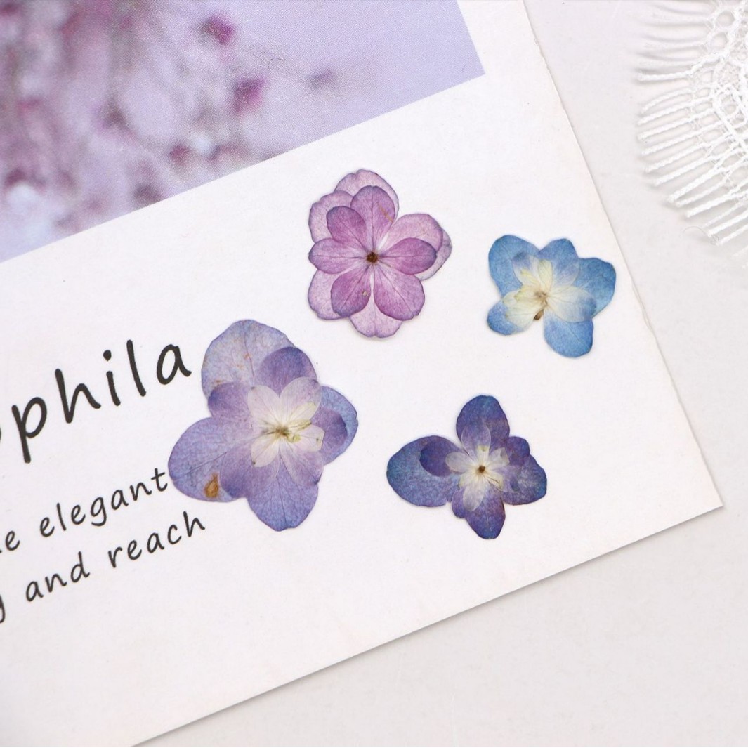 60Pcs Mini Double-Flowered Hyd - Dried Flower Bookmark のレビューと価格