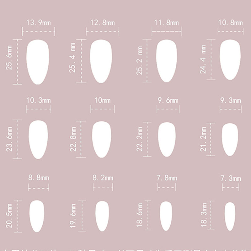 Luxury Maillard Almond Press o - Pressed Flower Art のレビューと価格
